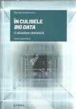 Big Data: Abordare Statististica Rafael Lahoz Beltra - Editura Litera, Mari Idei ale Matematicii, 2021