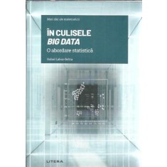 In culisele Big Data - O abordare statistica - Rafael Lahoz Beltra