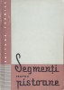 X x x - Segmenți pentru pistoane
