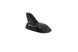 Ornament Antena Auto Rechin Carbon ALM - Tuning Exterior Universal