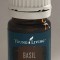 Busuioc (Basil) 5ml