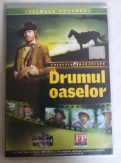DRUMUL OASELOR - DVD - FLORIN PIERSIC foto