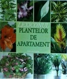 Lexiconul plantelor de apartament