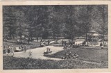 Slanic-Moldova. Vederea parcului (circulata 1934)