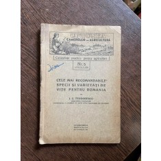 I. C. Teodorescu Cele mai recomandabile specii si varietati de vite pentru Romania (1930)