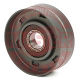 MASTER-SPORT GERMANY R35015-PCS-MS rola intinzator,curea transmisie