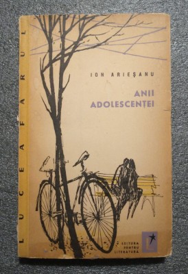 Ion Arieşanu - Anii adolescenţei (schiţe, povestiri) (debut, 1962) foto