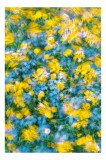 Tablou Canvas cu motiv floral abstract, 26 x 39 cm, CMCLASS