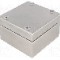 Carcasa otel inoxidabil, 100mmx100mmx61mm, IP66, RAYCHEM RPG - SSJ1