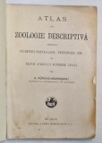 ATLAS DE ZOOLOGIE DESCRIPTIVA - A. POPOVICI BAZNOSANU , COPERTI REFACUTE