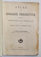 ATLAS DE ZOOLOGIE DESCRIPTIVA - A. POPOVICI BAZNOSANU , COPERTI REFACUTE