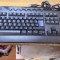 Tastatura PC IBM SK-8815 Usb #a8520aus