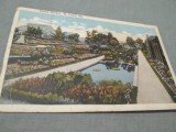 CARTE POSTALA 1922 SHAWS GARDEN - ST.LOUIS USA CIRCULATA LA TIMISOARA