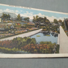 CARTE POSTALA 1922 SHAWS GARDEN - ST.LOUIS USA CIRCULATA LA TIMISOARA