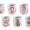 Set 6 ghivece Paste &Oslash; 9 cm x 9 H