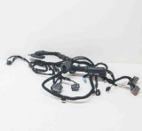 Cablaj ușă st&acirc;nga față JAGUAR I-PACE X590 2020 OEM: J9D3-14630-PE 12185686