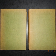 GIORGIO VASARI - VIETILE PICTORILOR, SCULPTORILOR SI ARHITECTILOR 2 volume