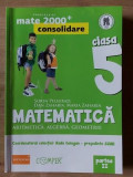 Matematica Clasa a 5 a Consolidare Sorin Peligrad,Dan Zaharia