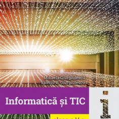 Informatică și TIC. Clasa a V-a - Paperback - Mihaela Giurgiulescu, Valeriu Benedicth Giurgiulescu - Art Klett