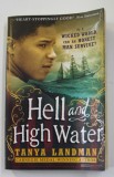 HELL AND HIGH WATER by TANYA LANDMAN , 2015