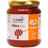 Miere Poliflora Ecologica/Bio 500g