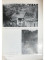 Foto  - 2