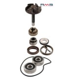 Cumpara ieftin Kit pompa apa Aprilia Atlantic - Scarabeo - Malaguti Madison RS - Piaggio Beverly - MP3 - X8 - X Evo - Vespa GTS - GTV 4T 250-300cc
