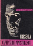 Horia Tecuceanu - Greseala capitanului Apostolescu