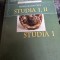 Studia I, II - Mihai Gramatopol