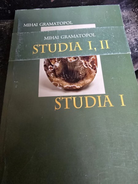 Studia I, II - Mihai Gramatopol