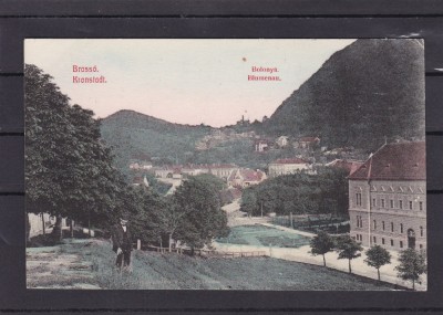 BRASOV LUNCA FLORILOR foto