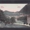 BRASOV LUNCA FLORILOR