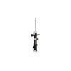 Amortizor fata Magneti Marelli, Ford Fiesta Vi (Cb1, Ccn), 06.2008-, Fiesta Vi Van, 08.2008-, Stanga,