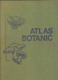 Lucia Popovici, Constanta Moruzi, Ion Toma, "Atlas botanic" [Editia a II-a revizuita] - 1985