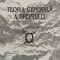 Teoria generala a dreptului. manual, studiu teoretic introductiv - 1997 - Gheorghe Avornic ($R17)