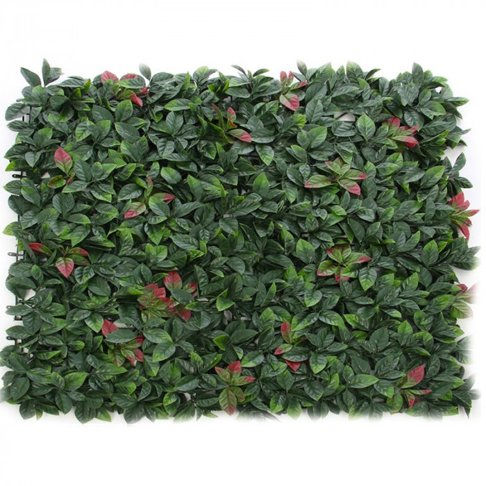 Gard artificial Photinia, 100 x 100 cm