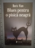 Blues pentru o pisică neagră - Boris Vianu