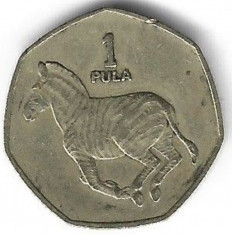 Moneda 1 pula 1991 - Botswana foto