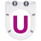 icon 8