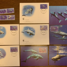 ttuvalu - delfin - serie 4 timbre MNH, 4 FDC, 4 maxime, fauna wwf