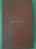 ILIADA, IN ROMANESTE DE G. MURNU-HOMER