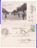Craiova- Bulevardul Carol I-clasica, Circulata, Printata