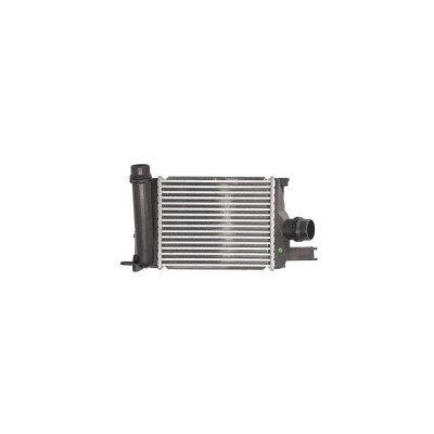 Intercooler RENAULT CLIO IV AVA Quality Cooling D4013 foto