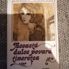 ACEASTA DULCE POVARA, TINERETEA-CELLA SERGHI