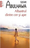 Albastrul dintre cer si ape - Susan Abulhawa