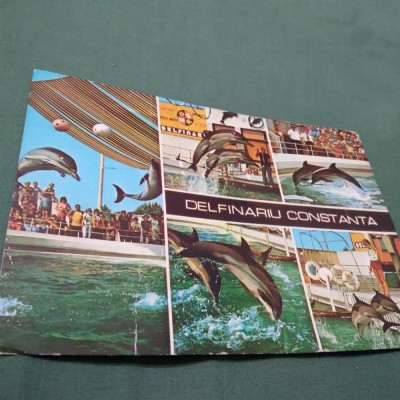 CARTE POSTALA GIGANT DELFINARIU CONSTANTA NECIRCULATA foto