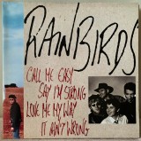 RAINBIRDS - Call Me Easy, Say I'm Strong, Love Me My Way, It Ain't Wrong - Vinil LP Mercury Germany