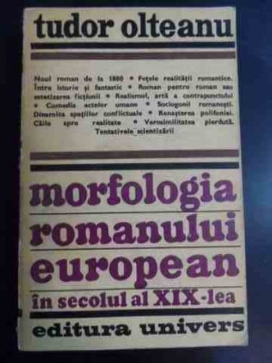 Morfologia Romanului European In Secolul Al Xix-lea - Tudor Olteanu ,547720 foto