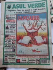 ASUL VERDE - supliment de terapii al revistei Formula AS (ianuarie 2009) foto