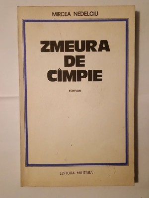 Mircea Nedelciu - Zmeura de c&amp;acirc;mpie (roman &amp;icirc;mpotriva memoriei) foto